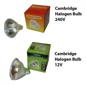 Cambridge Halogen Bulb