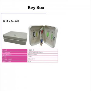 Key Box KB 25
