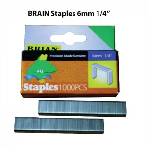 Staples BRAIN 6mm