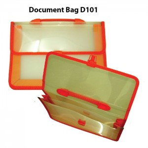 Document Bag 