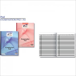 DD Examination Pad 