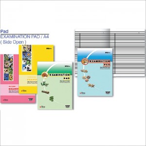 Flying Wheel Exam-Pad
