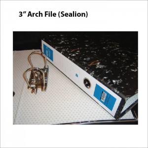 File Sea Lion 3 Arch File