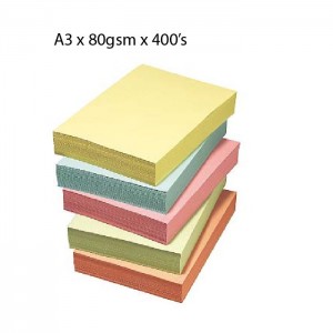 A3 Colour Paper 